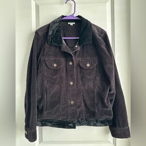 J.Jill corduroy jacket women’s Medium Black/Brown